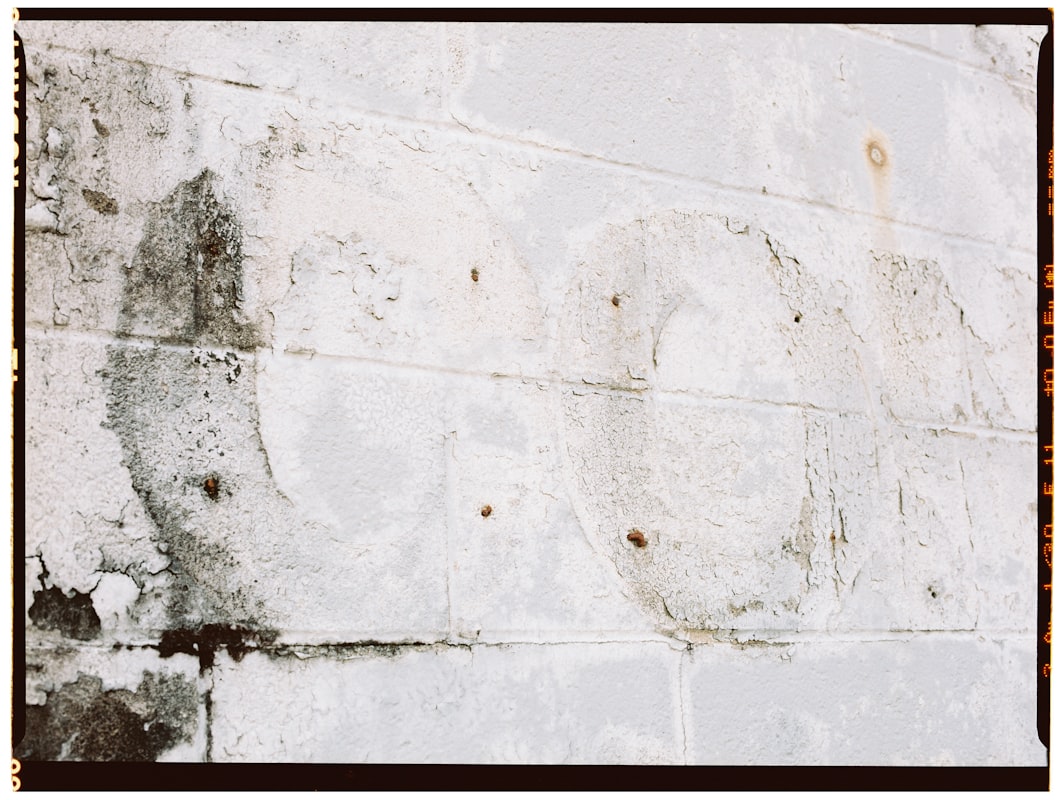 Water Extraction service in Meriden, CT